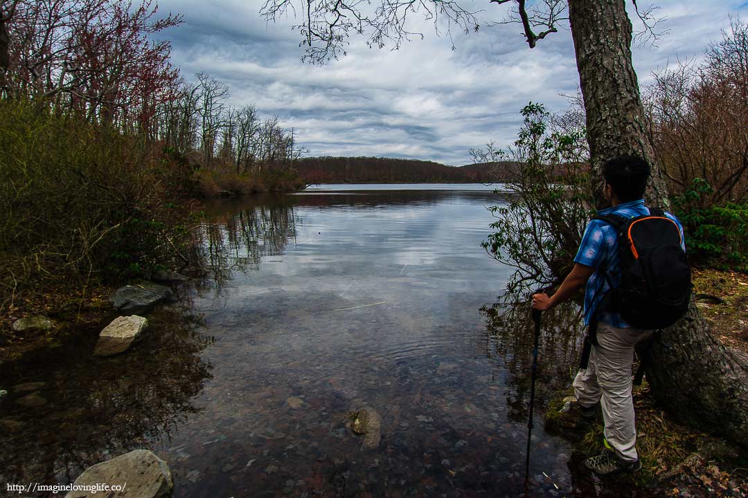 Sunfish pond